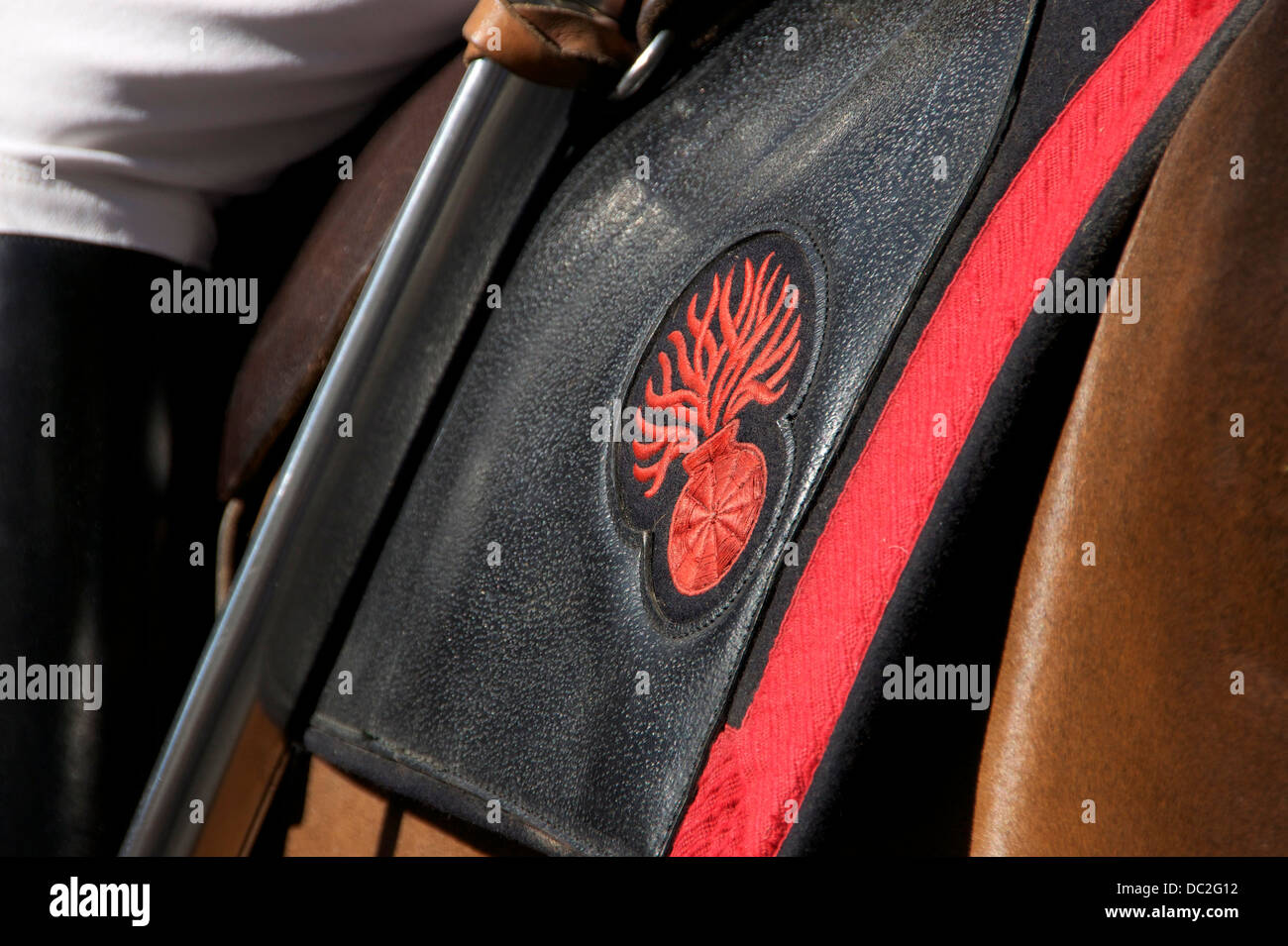 Embroidered grenade on the saddlecloth of a cavalryman of the Cavalry Regiment of the french Garde Républicaine. Bastille Day 20 Stock Photo