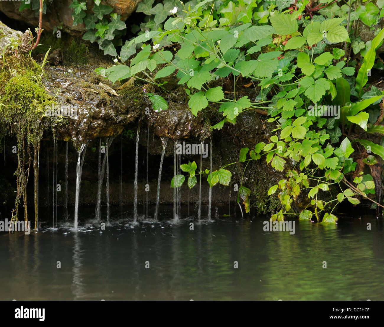 One of the numerous springs in the gardens of Château de Monte-Cristo of Alexandre Dumas, le Port-Marly, Yvelines, France. Stock Photo