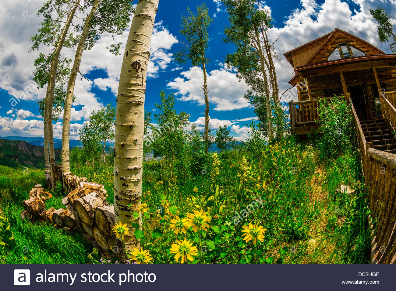 Lynn Britt Cabin Snowmass Village Aspen Colorado Usa Stock