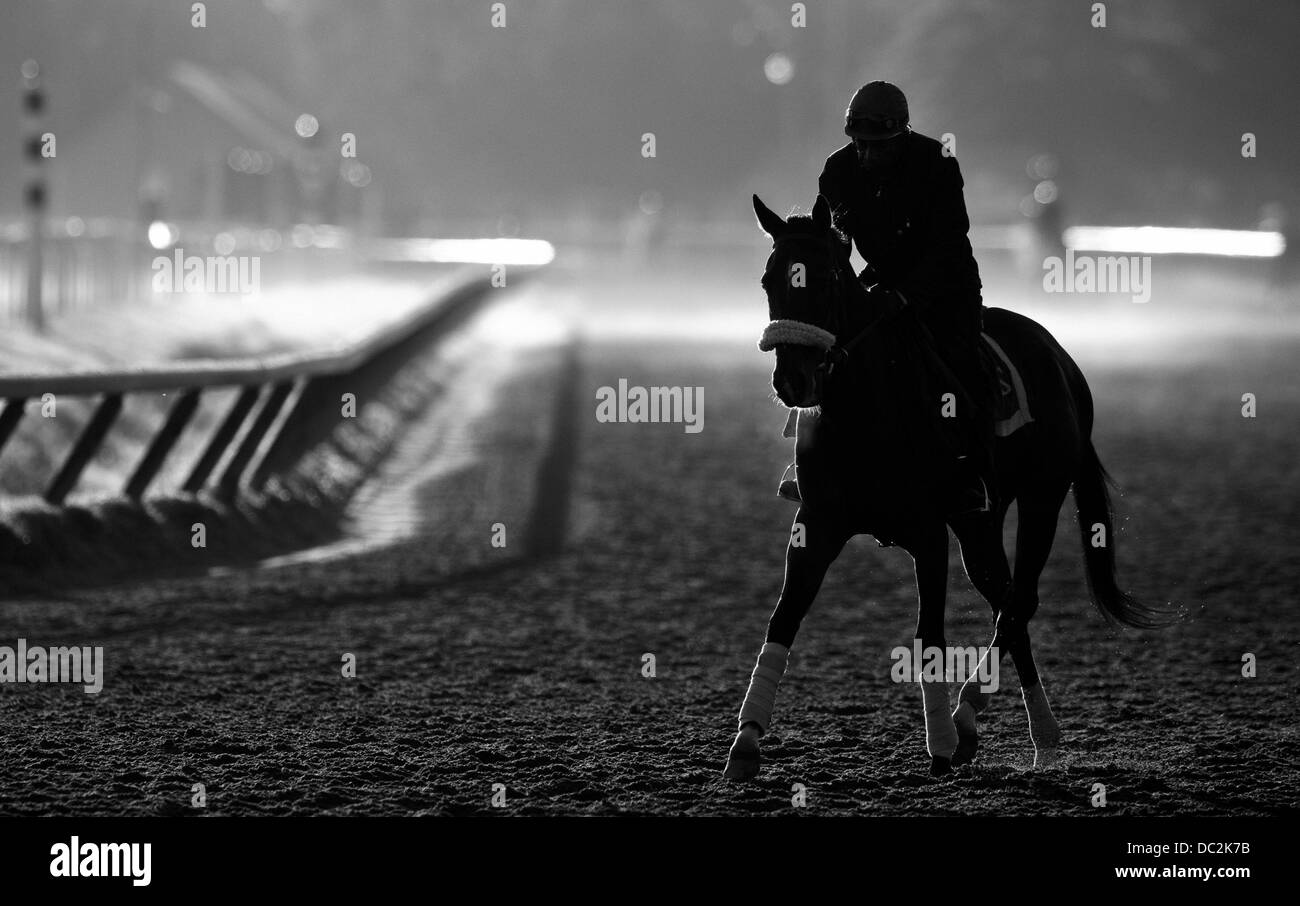 Saratoga Springs, New York, USA. 6th Aug, 2013. Horses exercise in the