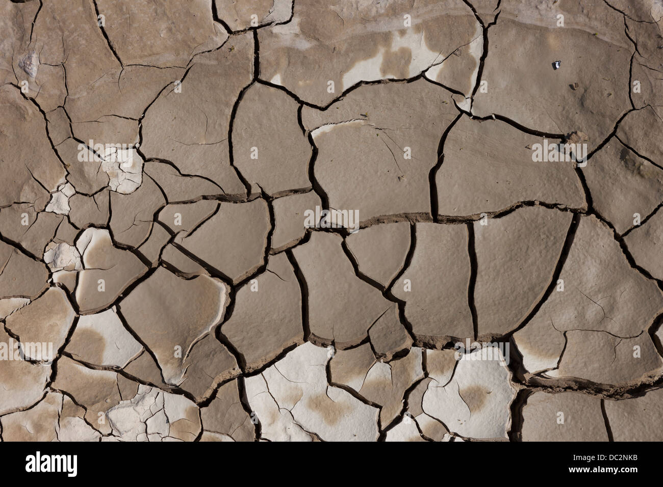 Cracked Mud Pattern in Dry Riverbed Stock Photo