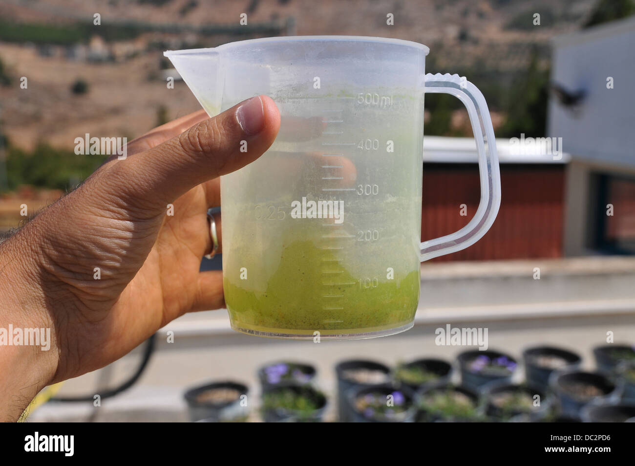 Rooftop garden experiment plants are monitored for growth using