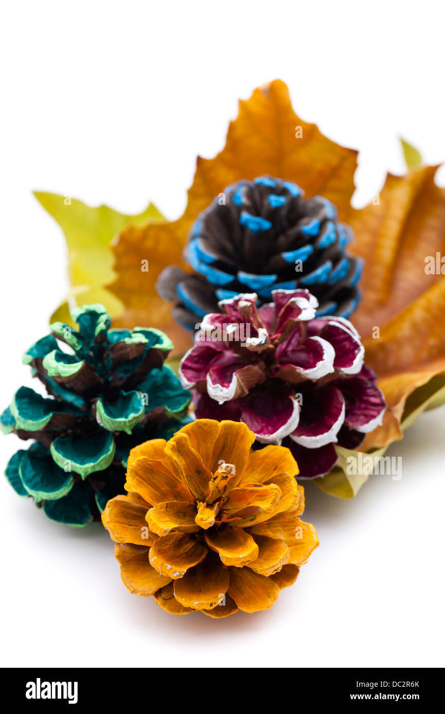Dyed pine cones and autumn leaves on white background. Stock Photo