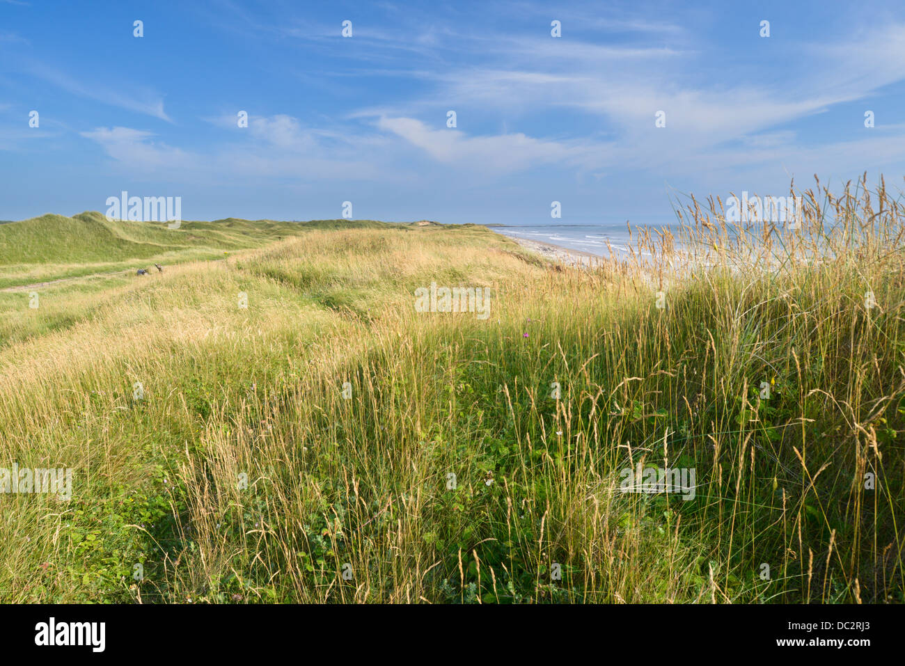 Dune system at Kenfig Nature Reserve, South Wales Stock Photo