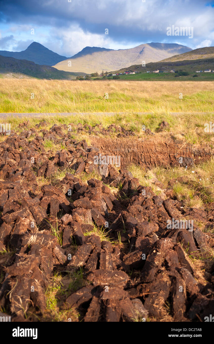 Peat bog in west Ireland, turf cut and lying in the sun to dry. Stock Photo