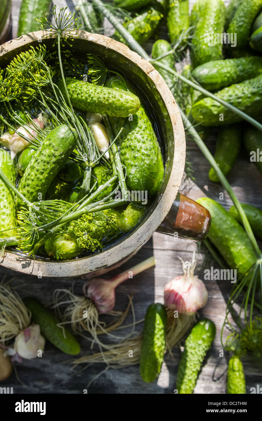 Preparation of lowsalt pickled cucumbers Stock Photo Alamy