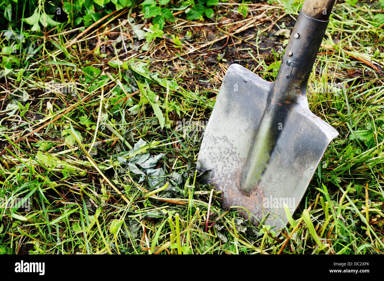 garden old shovel stuck in the ground Stock Photo Alamy