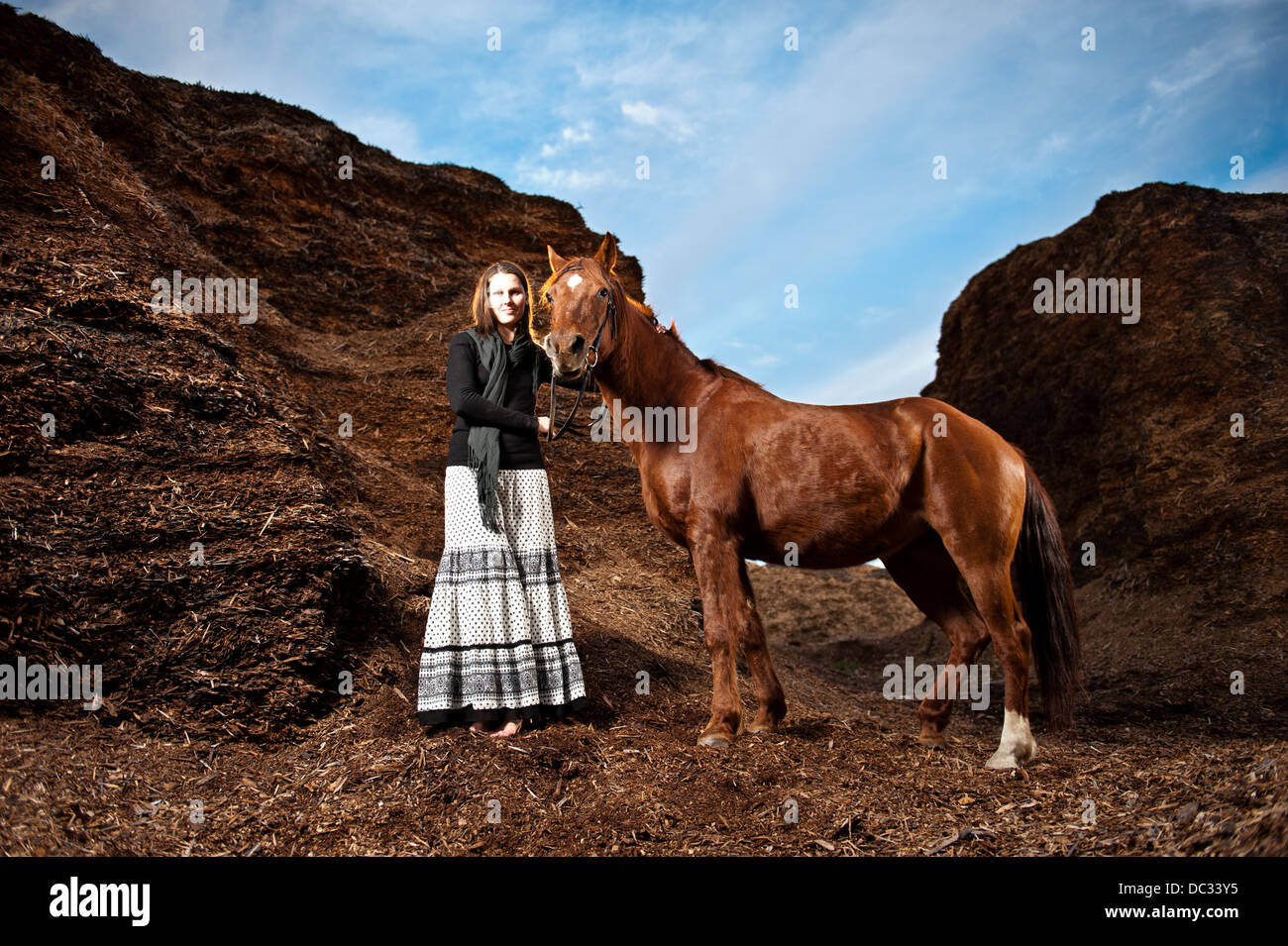 Beautiful young woman with brown Arabian horse. Stock Photo