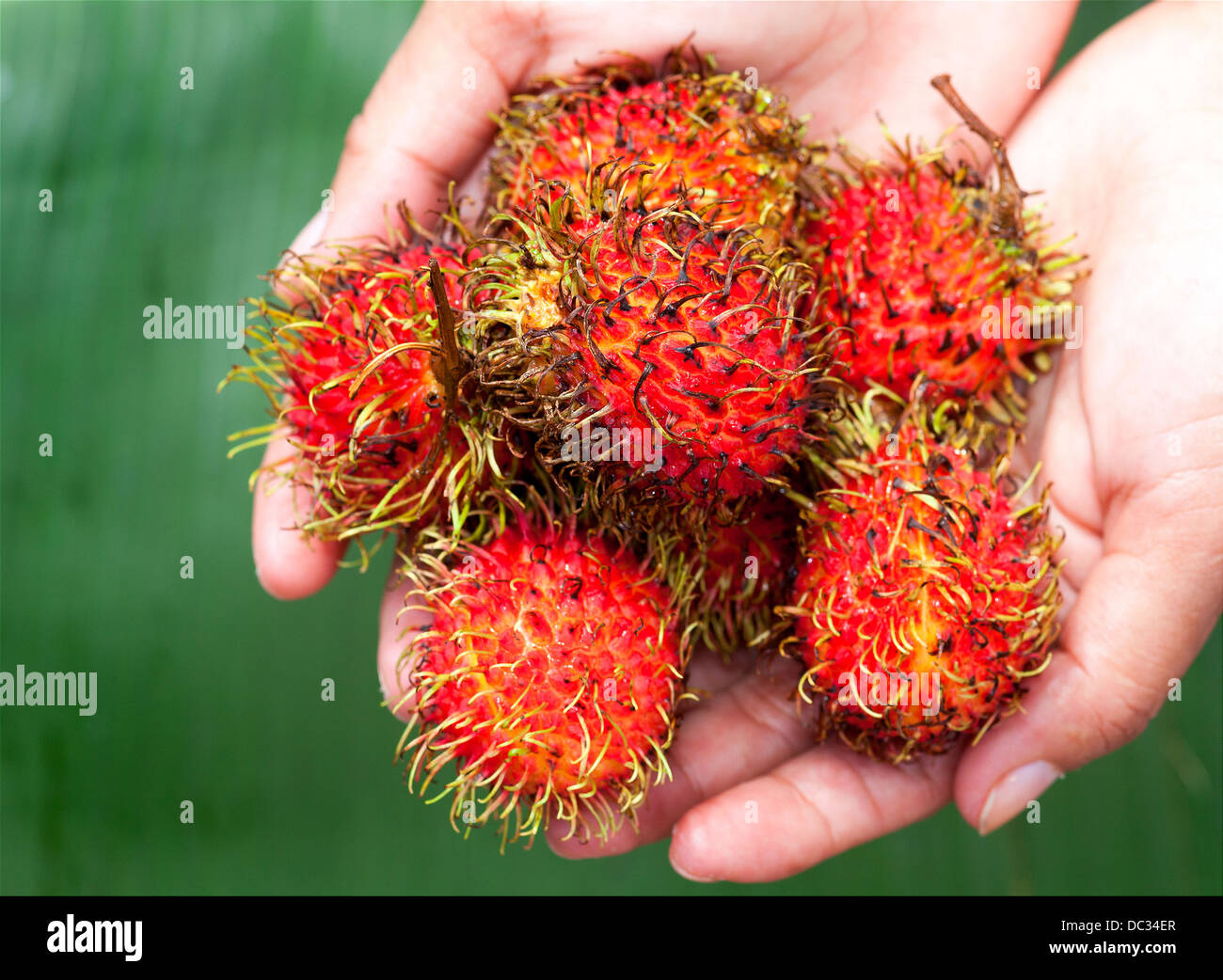 Philippine fruit hi-res stock photography and images - Alamy