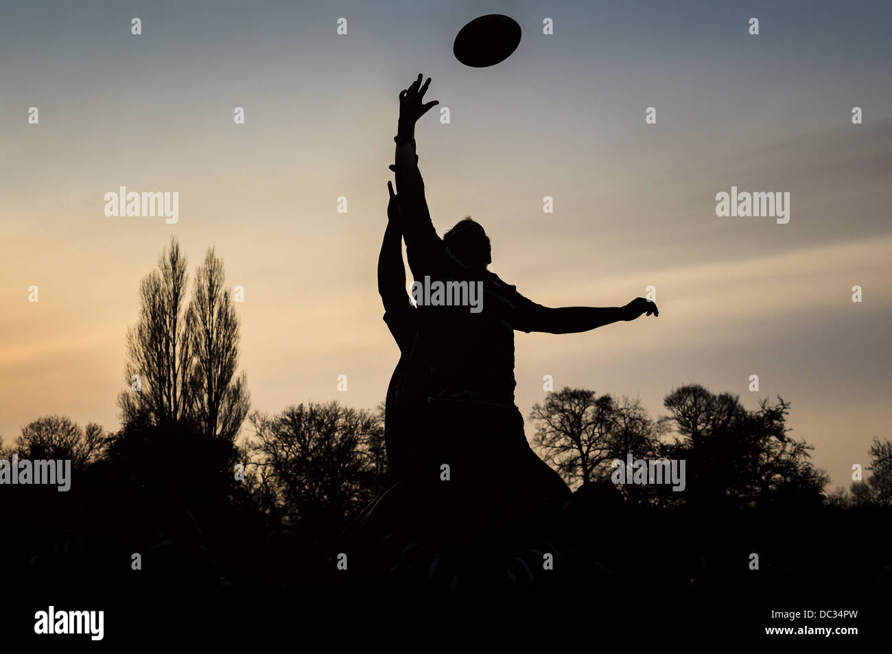 Two rugby players competing for the ball at a rugby union line out, silhouetted against an evening sky. Stock Photo