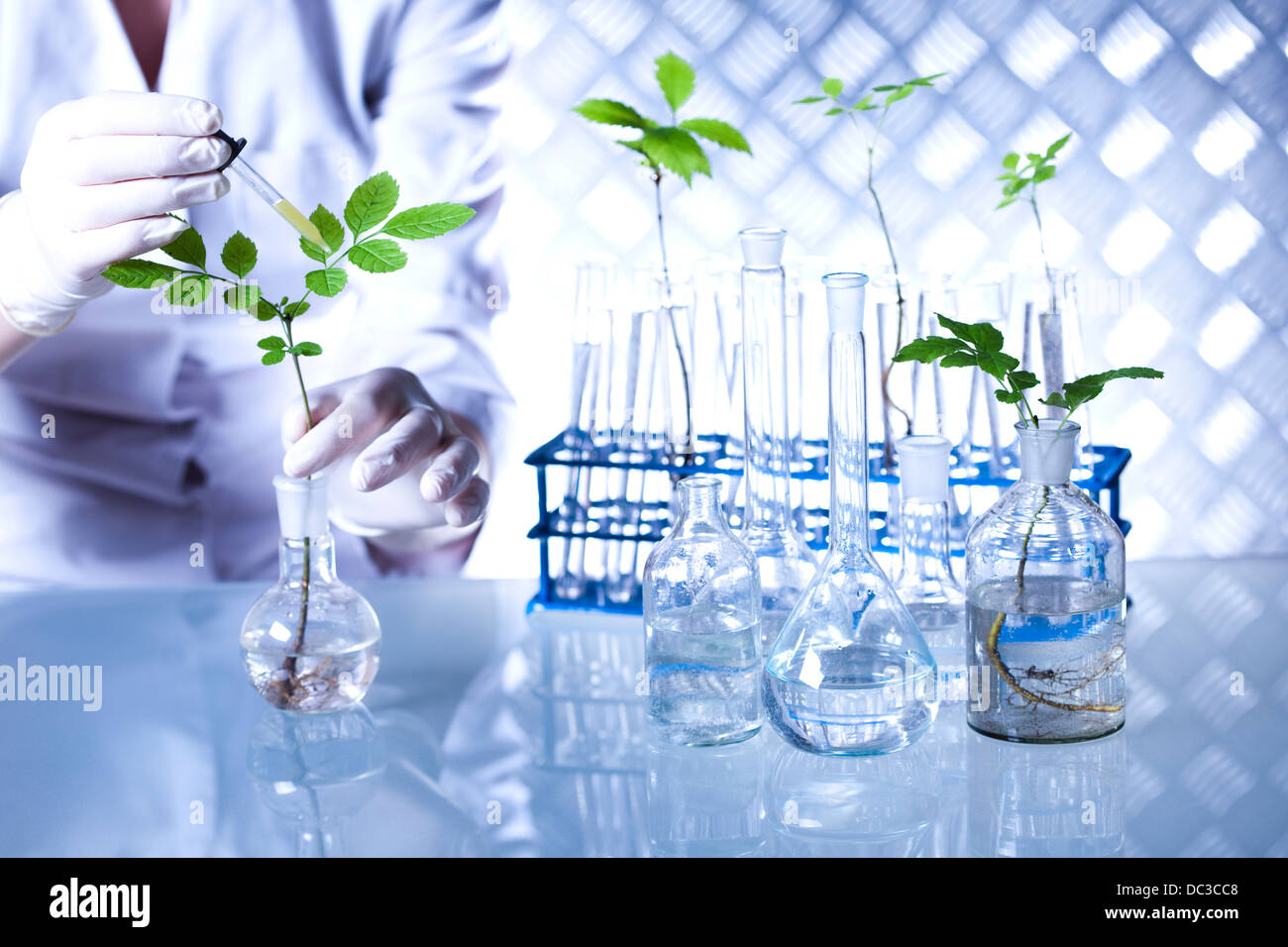 Floral science in laboratory Stock Photo Alamy