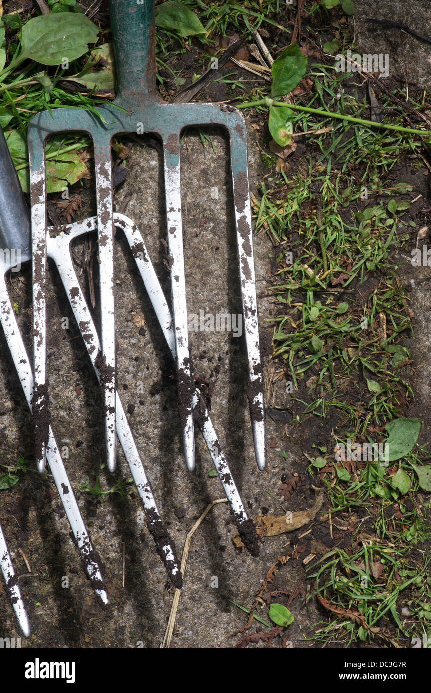 Garden forks Stock Photo Alamy