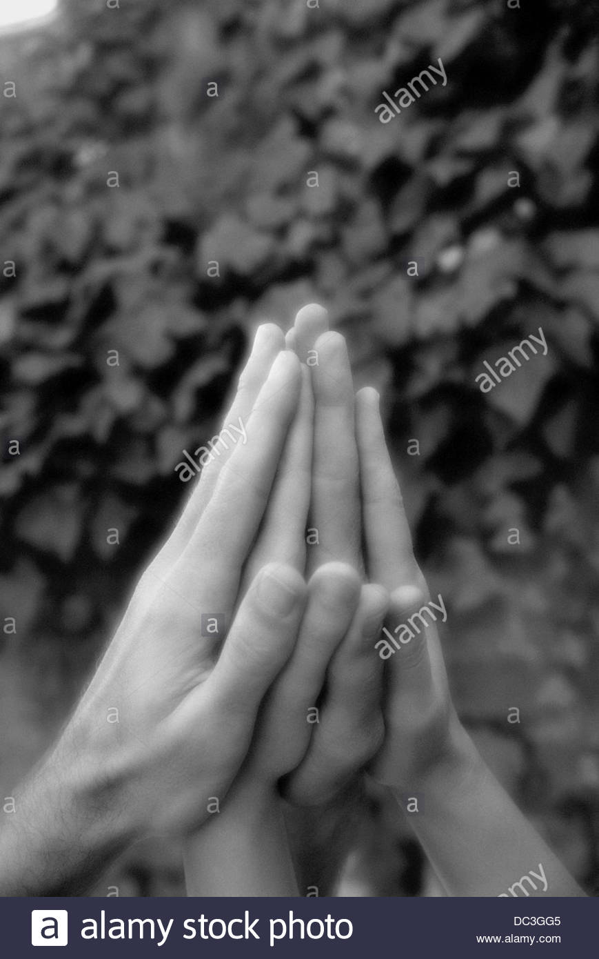 Hands Pressed Together High Resolution Stock Photography and Images Alamy