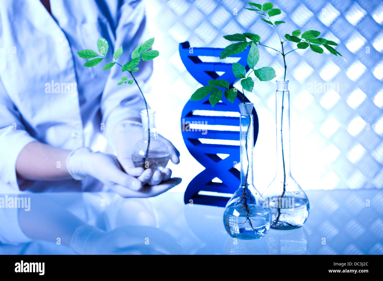 Ecology laboratory experiment in plants Stock Photo Alamy