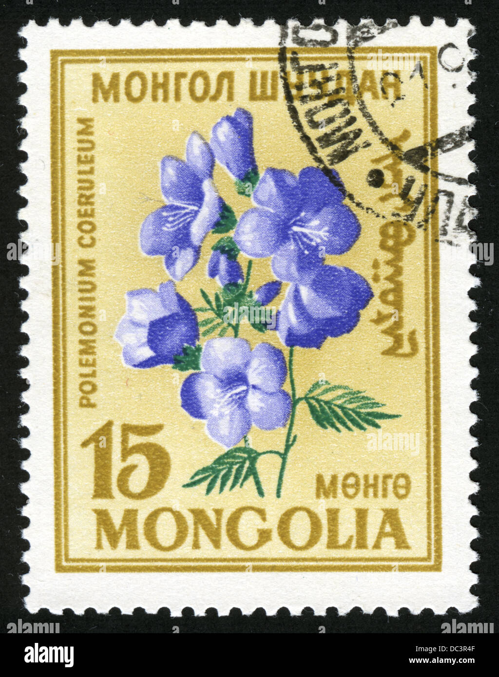 Mongolia,post mark,stamp,postage stamps,flowers, plants, flora,flower, Polemonium Coeruleum Stock Photo