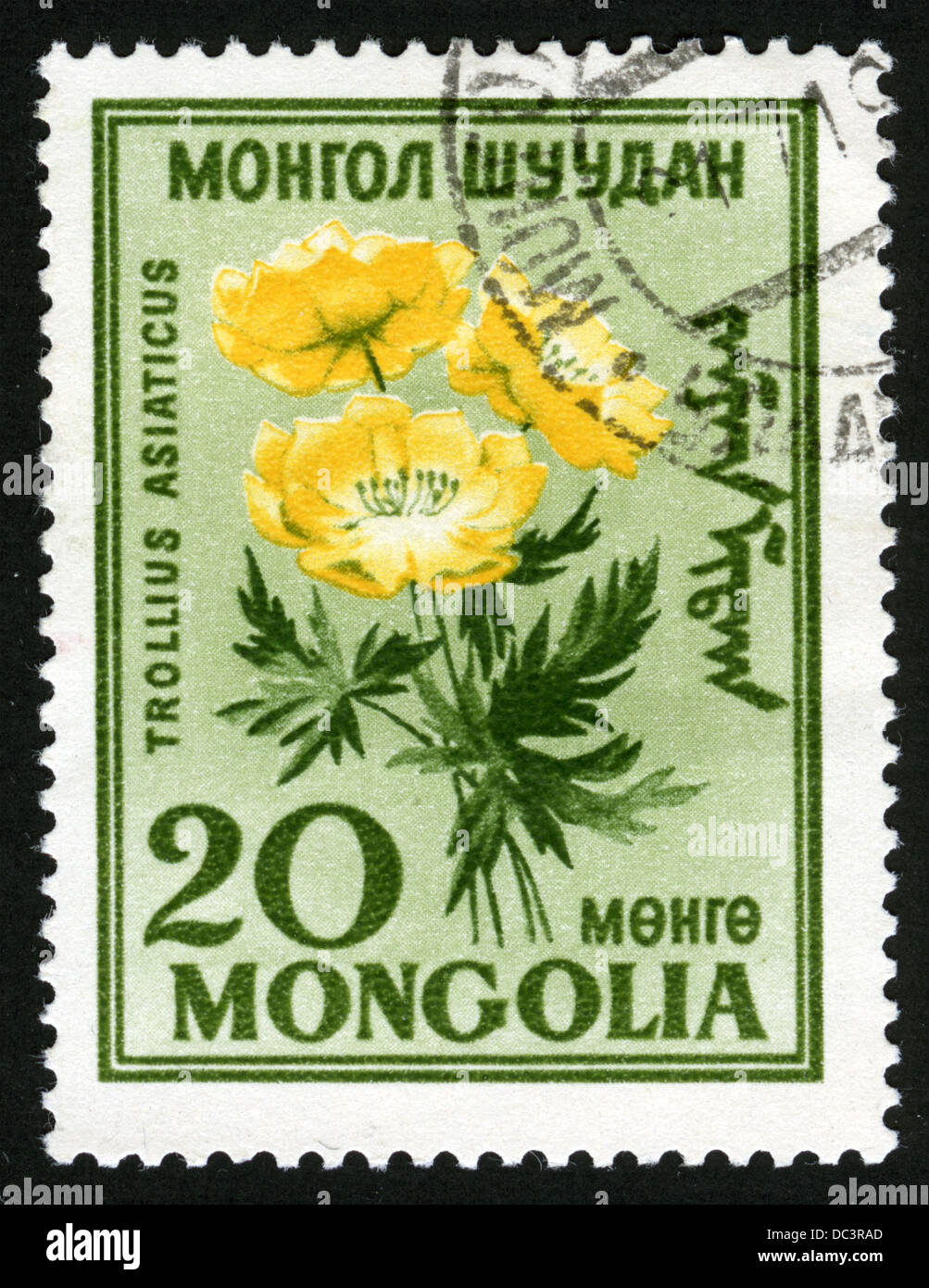 Монголия цветок