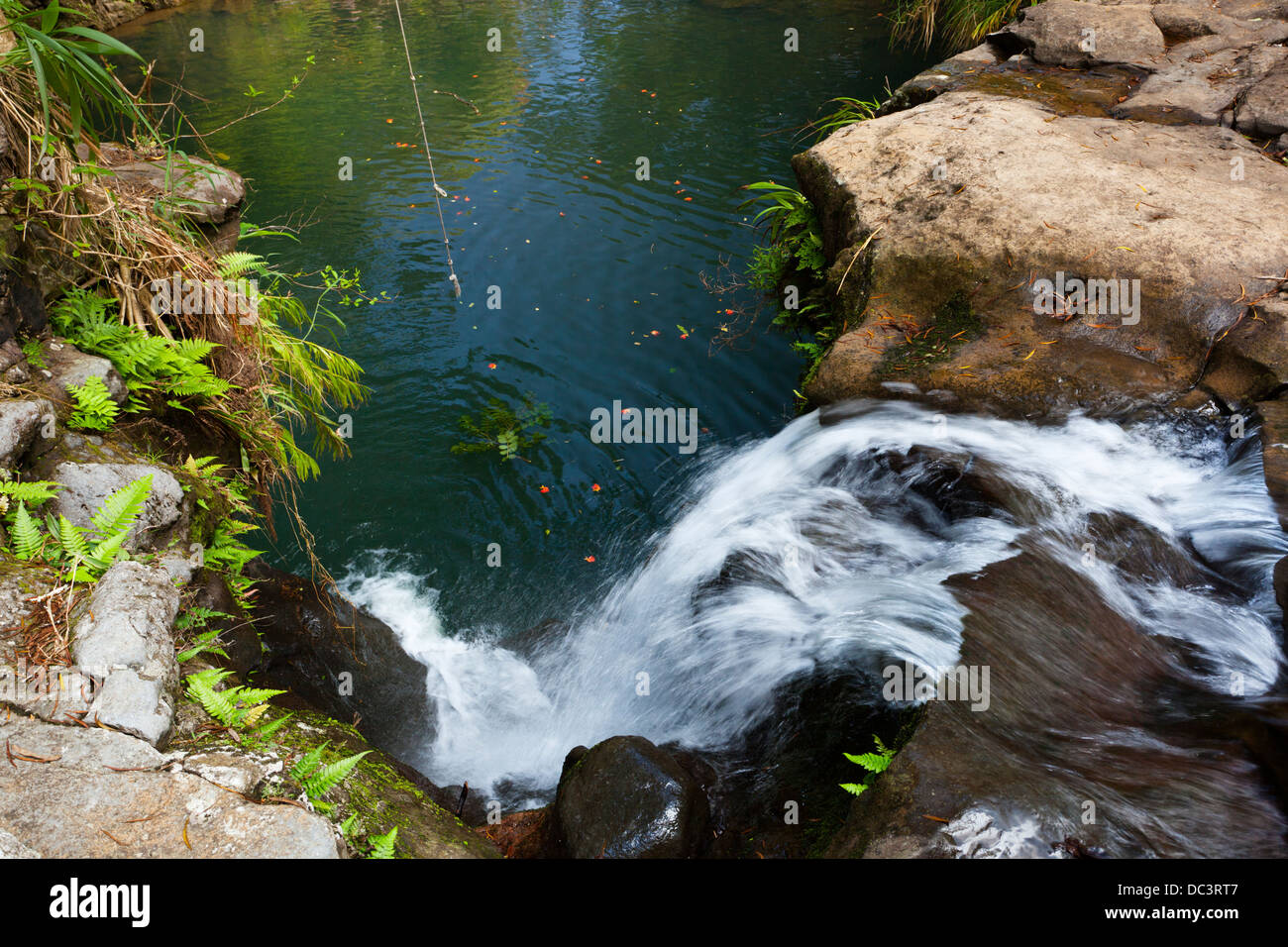 Little waterfall and lake with a swinging rope on the Road to Hana in