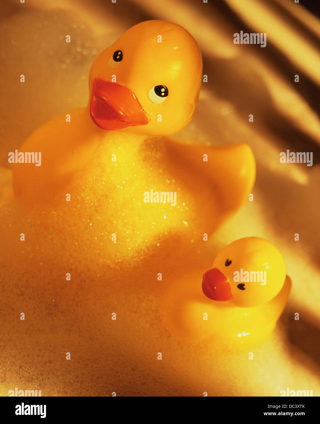 Ducklings in bath Stock Photo Alamy