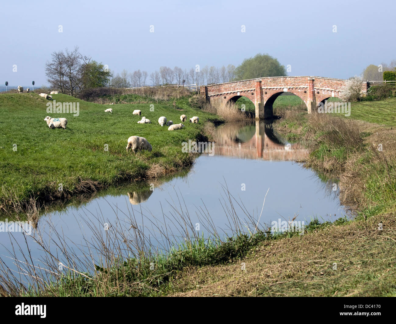 A peaceful view of the Sussex countryside at Bodium, East Sussex. Sheep