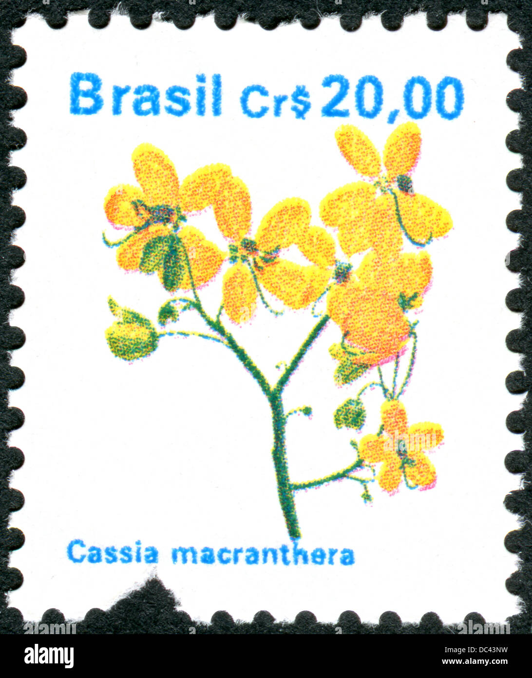 BRAZIL - CIRCA 1990: Postage stamp printed in Brazil shows a tree Cassia Macranthera, circa 1990 Stock Photo