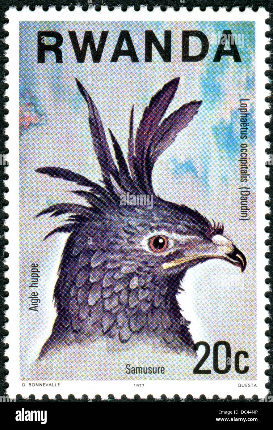 RWANDA - CIRCA 1977: A stamp printed in Rwanda shows the Long-crested Eagle (Lophaetus occipitalis), circa 1977 Stock Photo