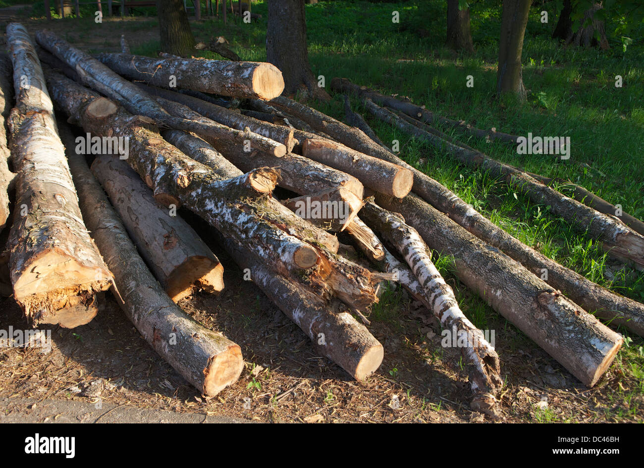 Burning pile dry branches hi-res stock photography and images - Alamy