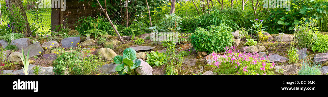 Rock garden flowers hi-res stock photography and images - Alamy