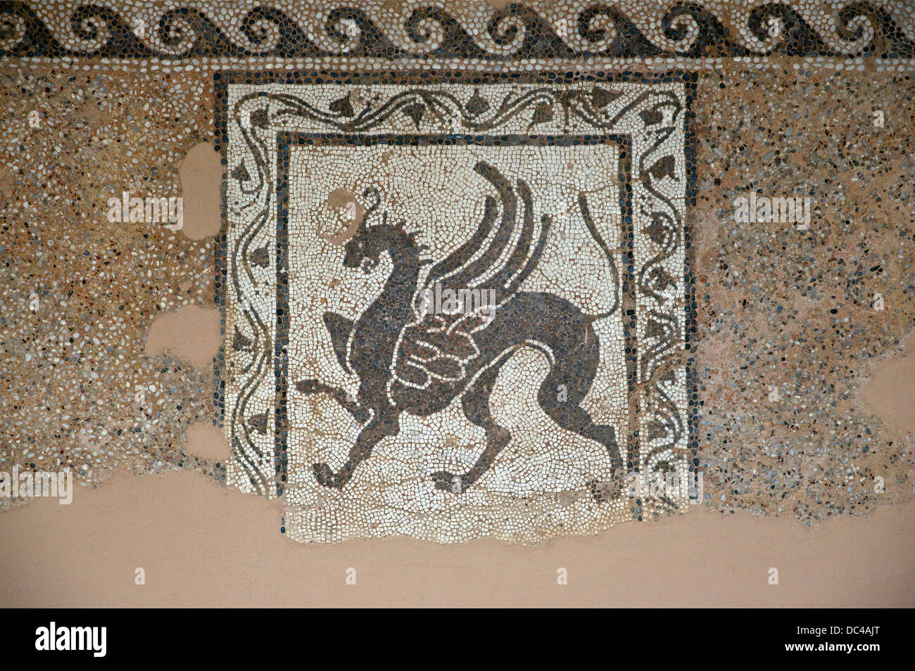 From the rhodian acropolis. It shows a griffin, made with non natural tesserae (stone cut into small cubic pieces), set in mort Stock Photo