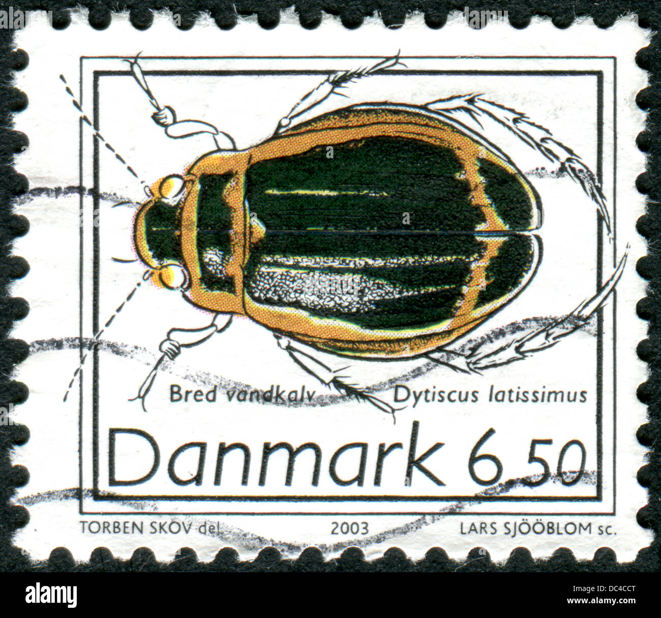 DENMARK - CIRCA 2003: Postage stamp printed in Denmark, shows beetle Dytiscus latissimus, circa 2003 Stock Photo