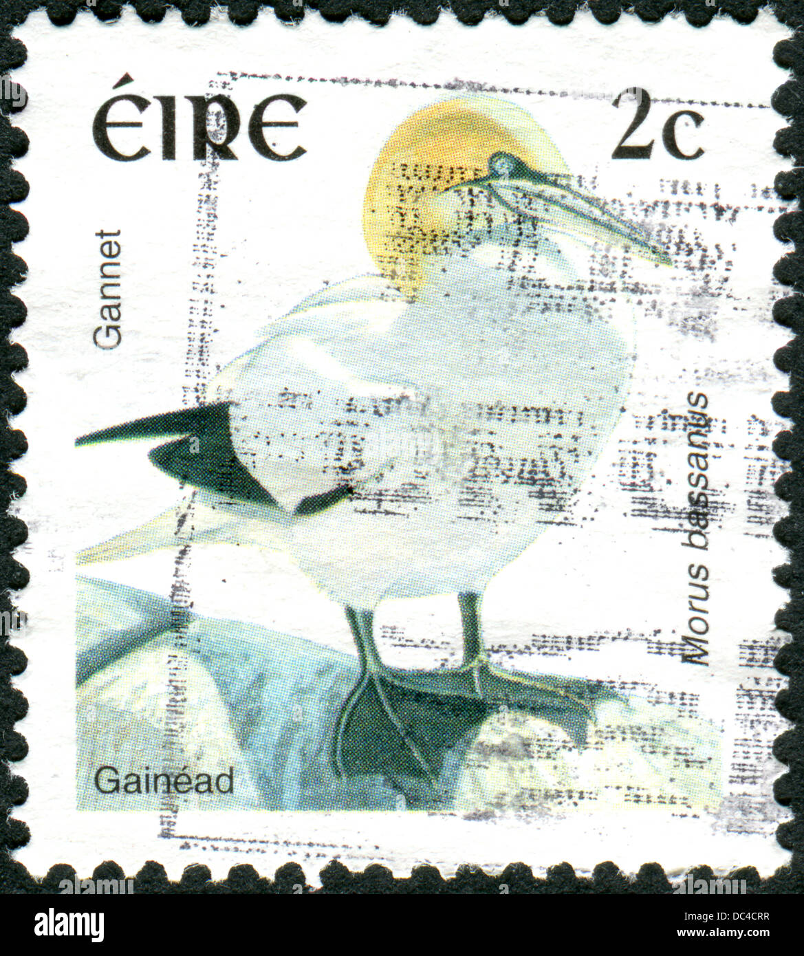 IRELAND CIRCA 1997 Postage stamp printed in Ireland shows a seabird