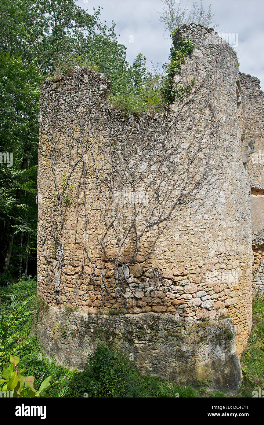 Tower of the ruined castle on the prehistoric and troglodytic site of La Madeleine, Tursac, Dordogne, France. Stock Photo