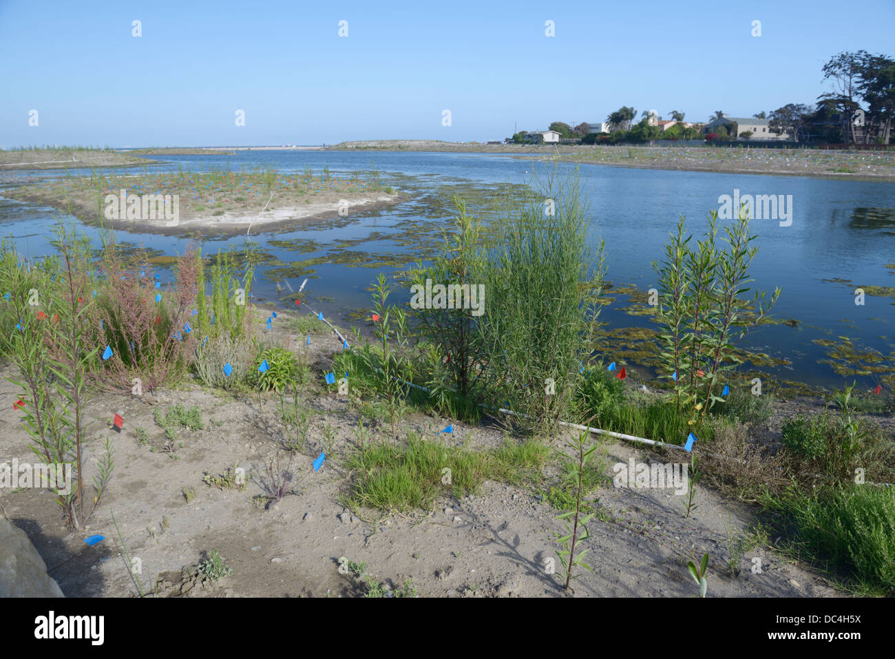 Malibu Lagoon restoration project.  A multi-agency group is working to improve the estuary's ecological health (see description) Stock Photo