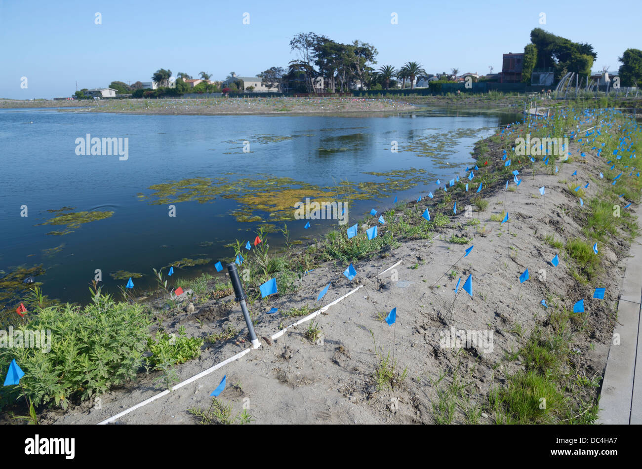 Malibu Lagoon restoration project.  A multi-agency group is working to improve the estuary's ecological health (see description) Stock Photo