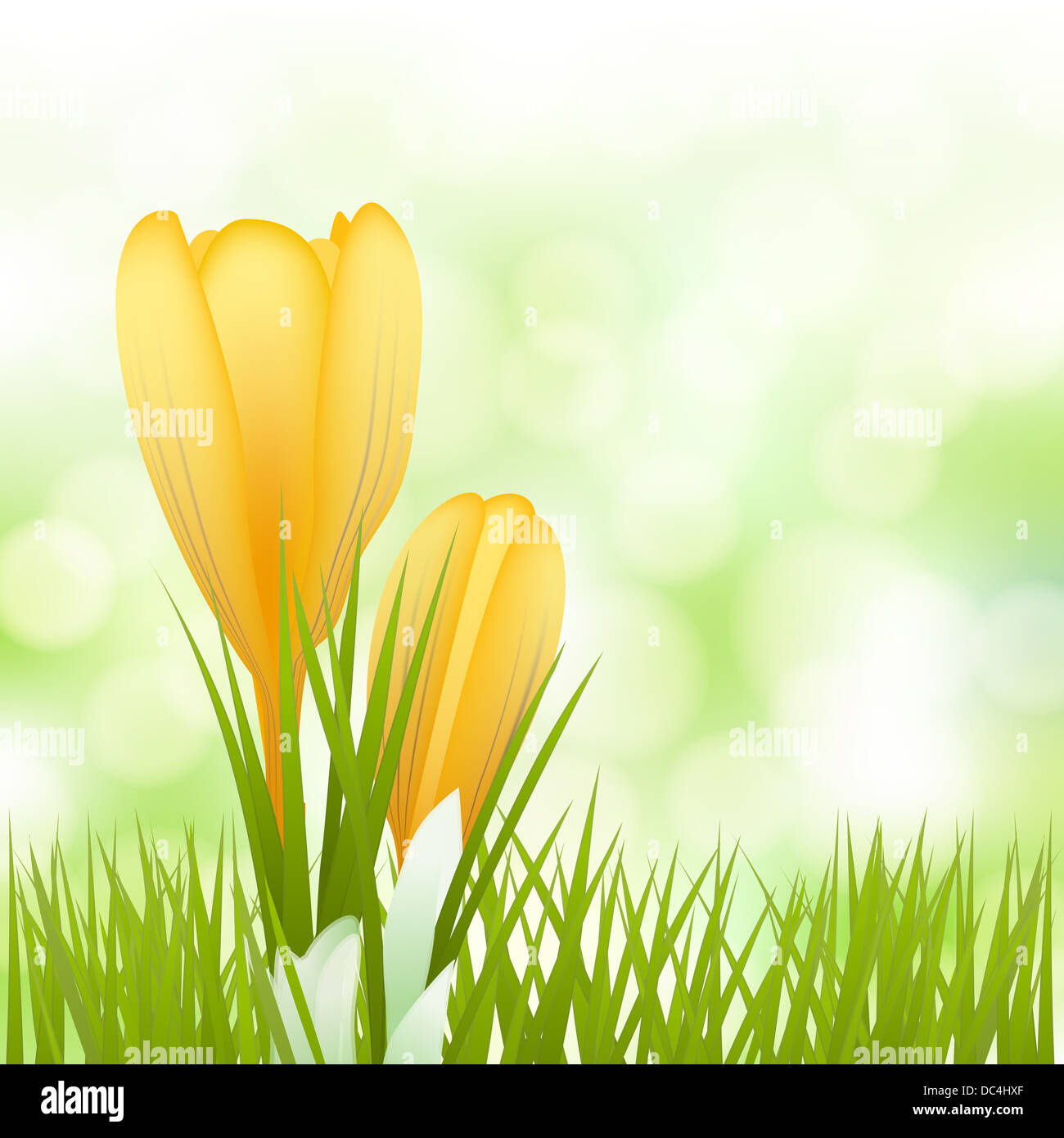 spring yellow flowers background Stock Photo - Alamy