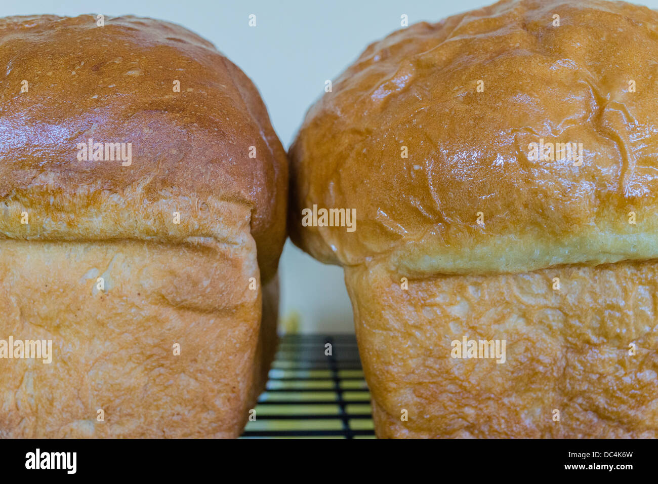 Freshly Baked Bread Cools On Cooling Racks At The Irish Loop Coffee House In Witless Bay Newfoundland Stock Photo Alamy