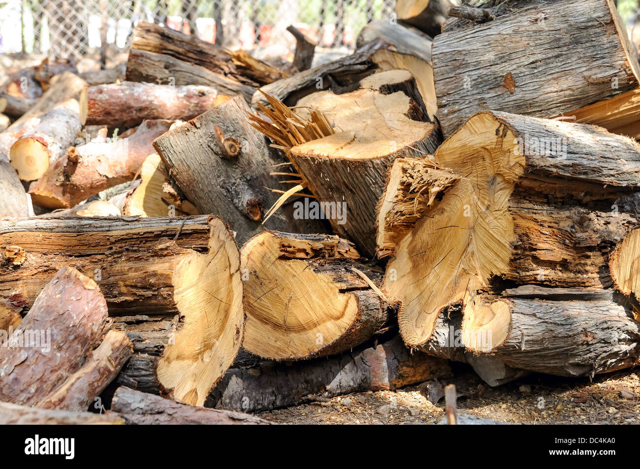 A stack of firewood in the park Stock Photo Alamy
