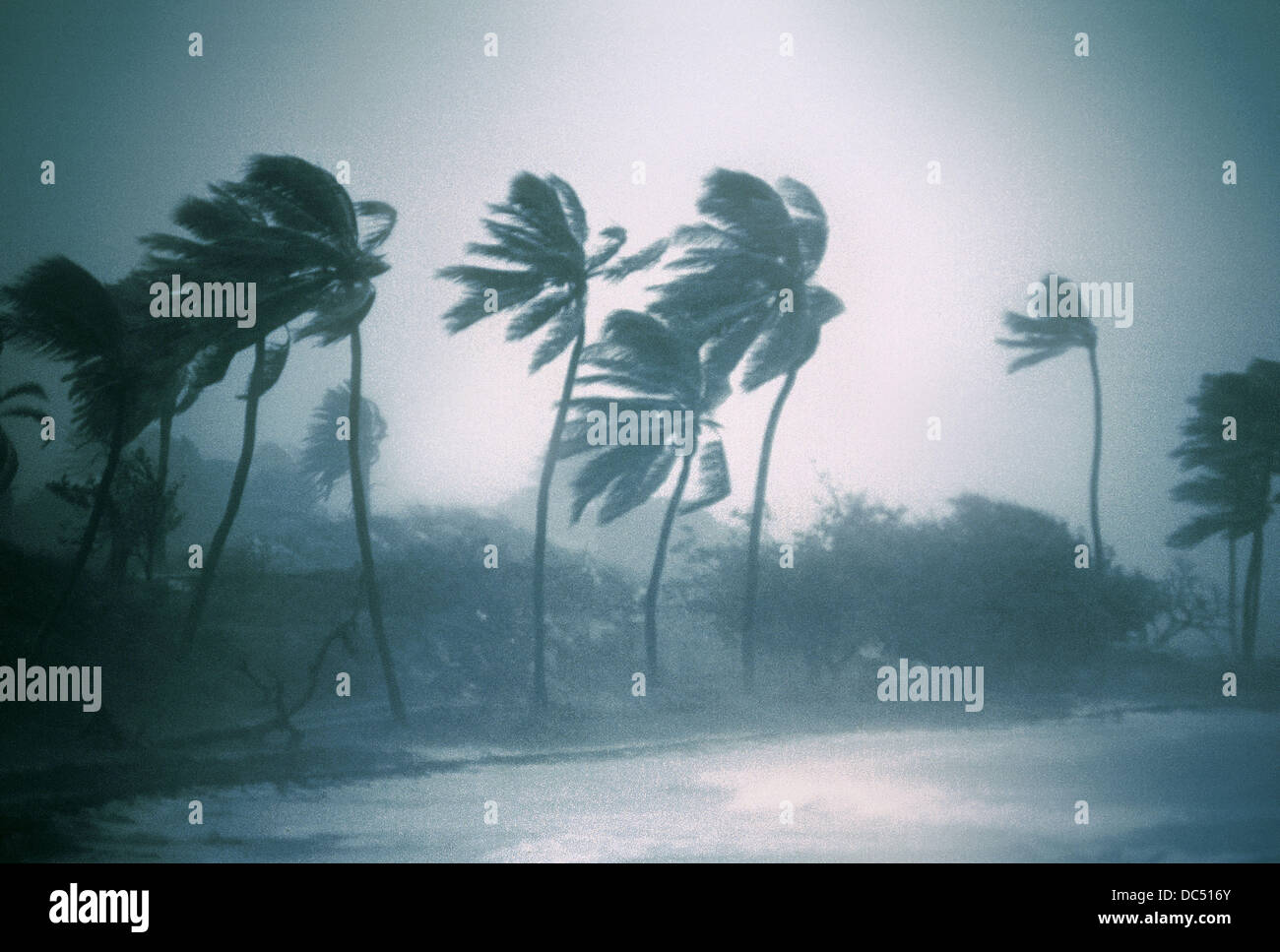 погода рисунок. климат тая. доминикана средняя температура. климатическая карта индийского океана. климат тая.