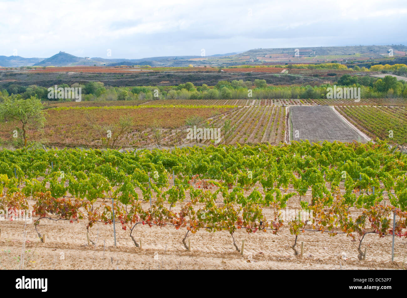 Concepto de agricultura hi-res stock photography and images - Alamy