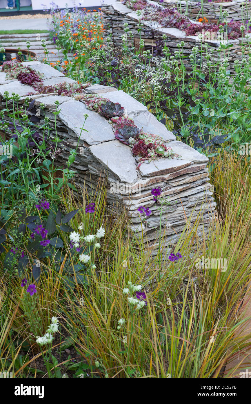Dry stone wall with wildlife habitats and sempervivum inside Stock Photo