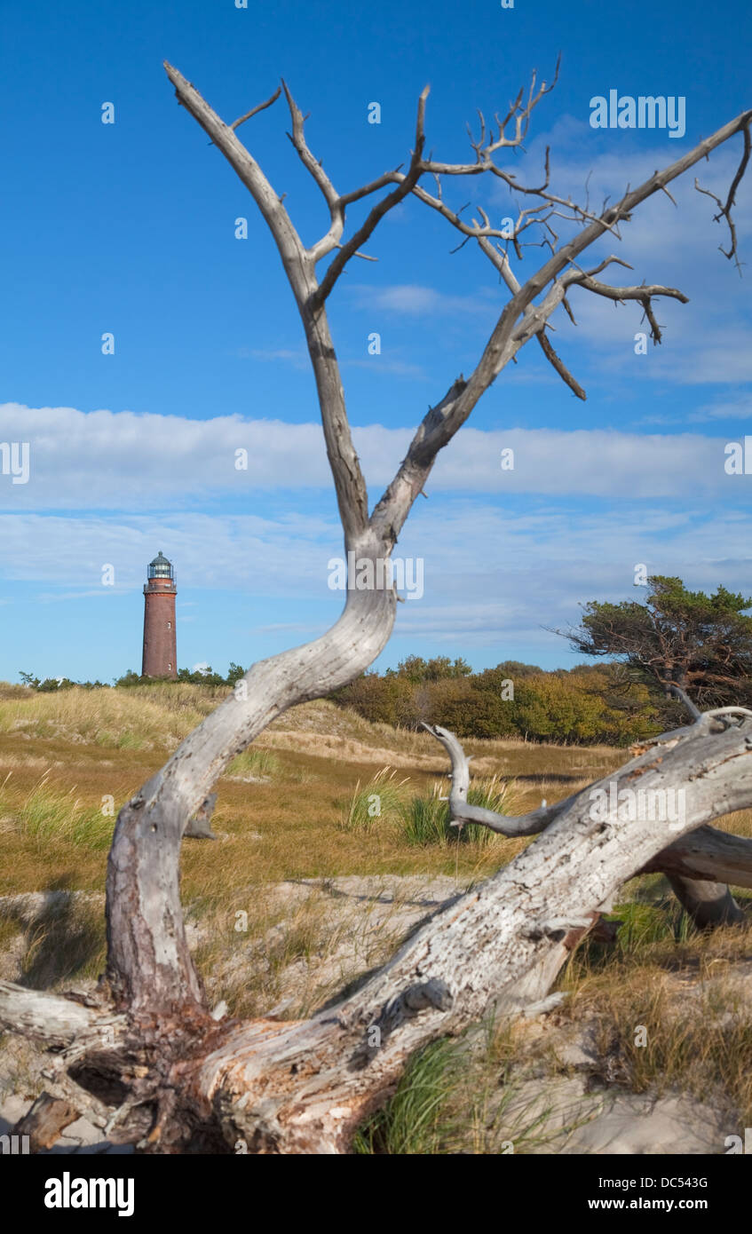 Europa, Deutschland, Mecklenburg-Vorpommern,Fischland-Darss-Zingst,Prerow Lighthouse Darsser Ort Stock Photo