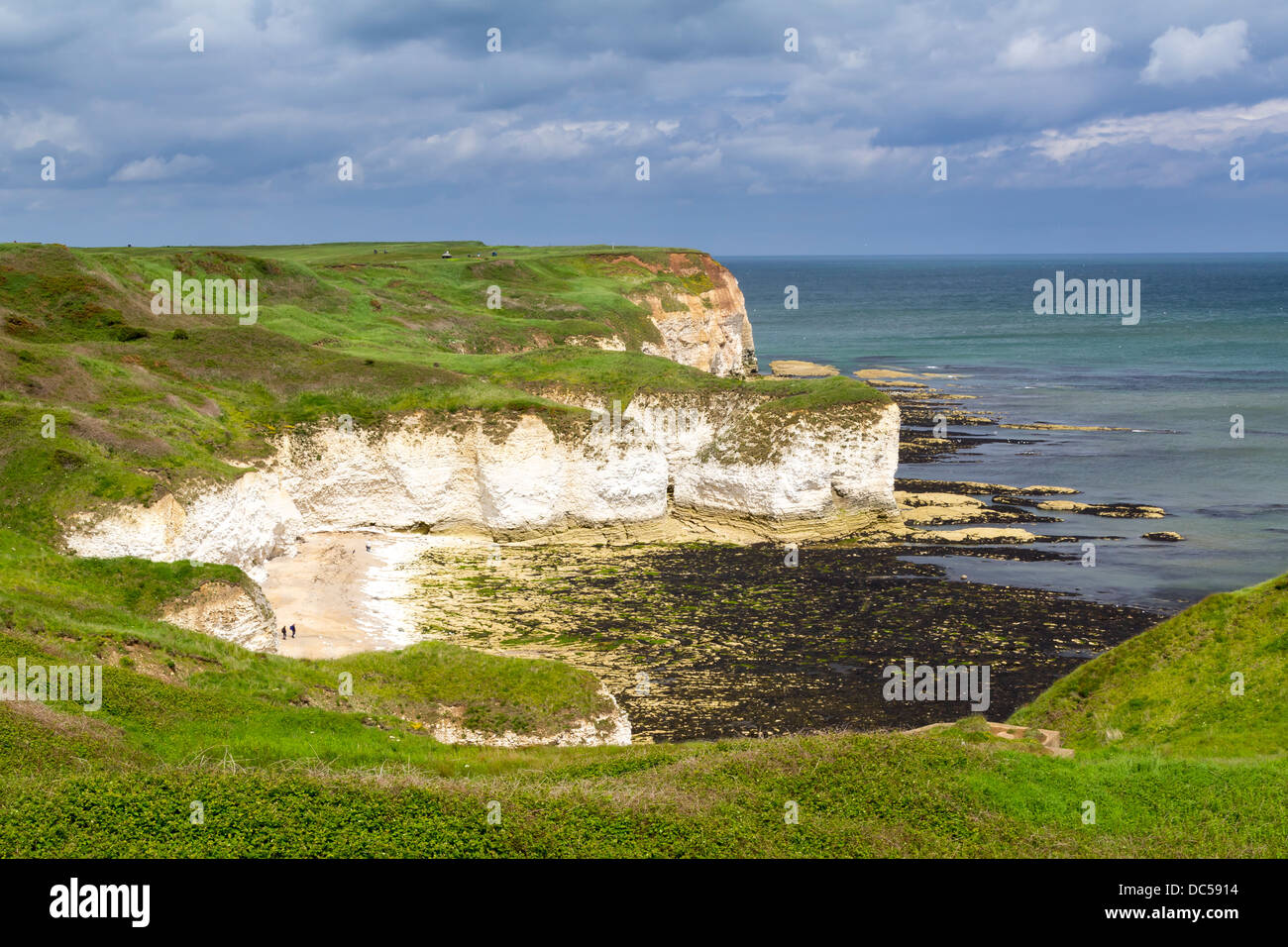 Chalk Cliffs at Flamborough Head, Yorkshire England UK Stock Photo Alamy