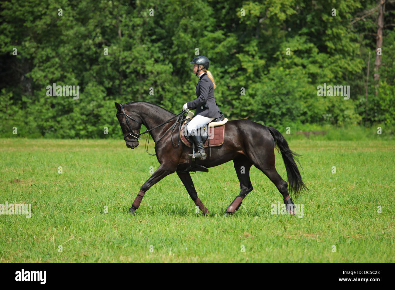 Horse and rider entered in a Horse Dressage Event part Stock Photo