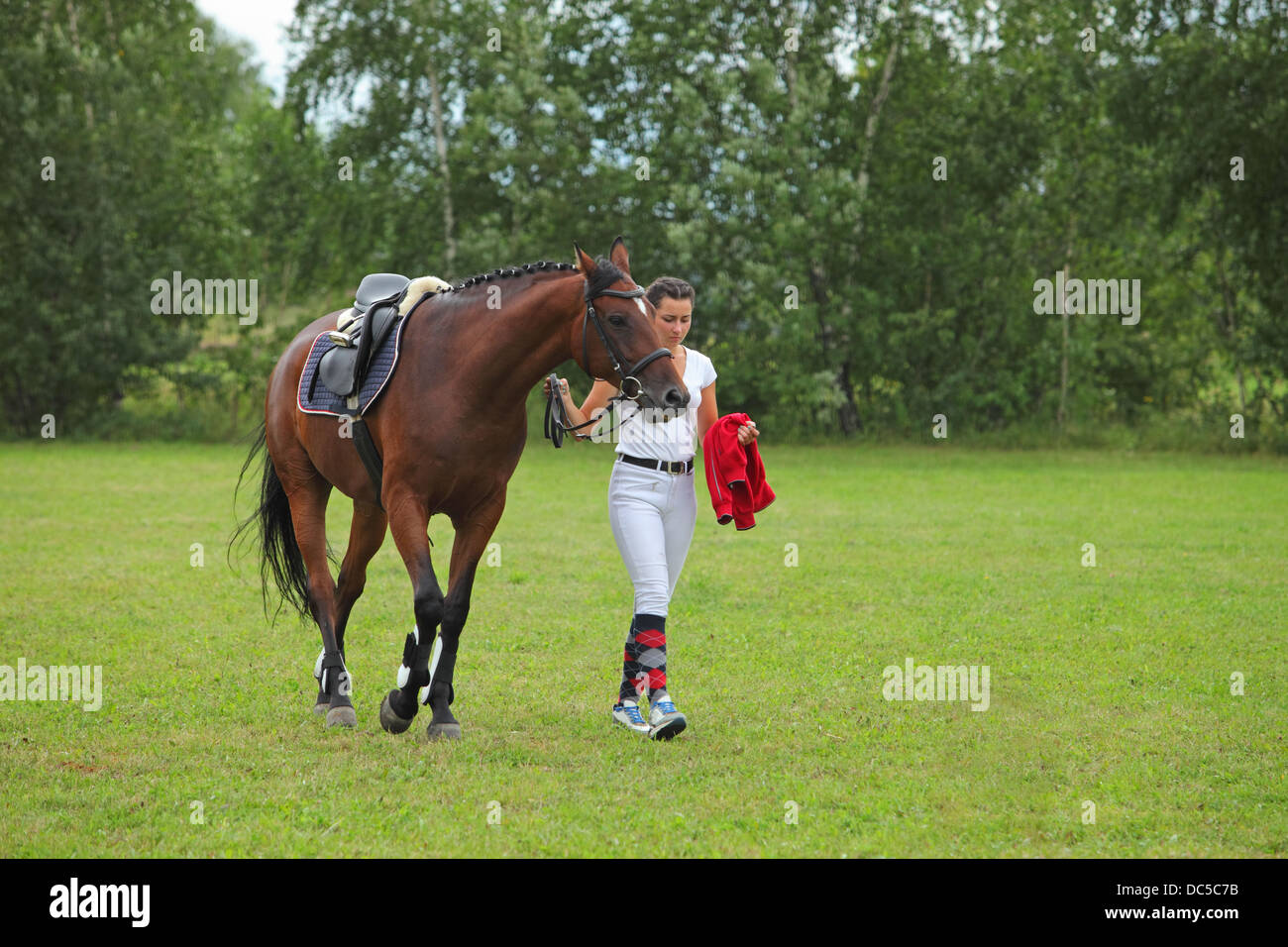 Woman Leading Horse Stock Photo Alamy