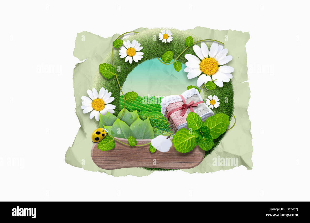 illustration template of name