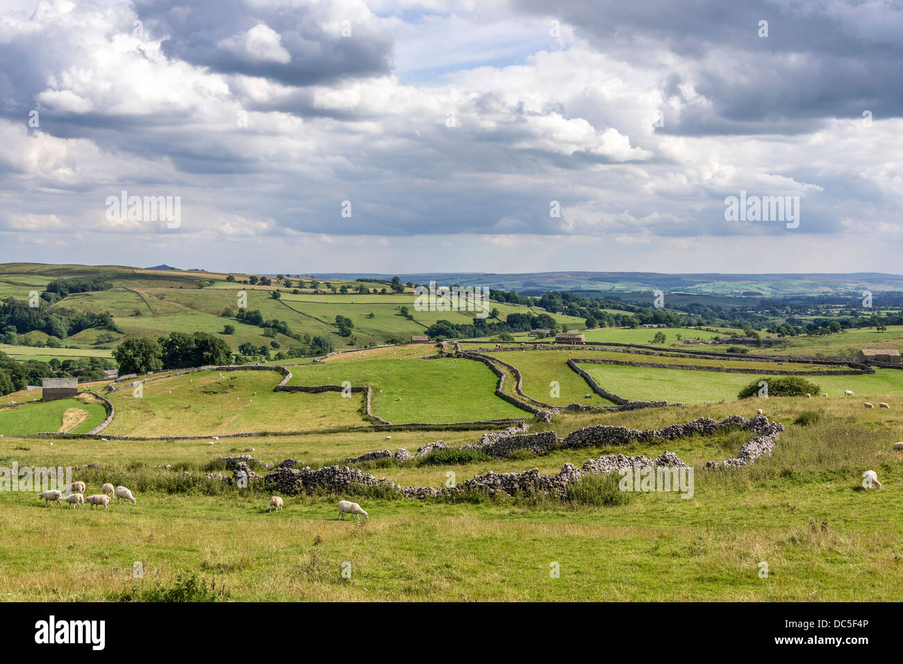 Limestone walls and an ancient drovers road near Malham North Yorkshire. Stock Photo