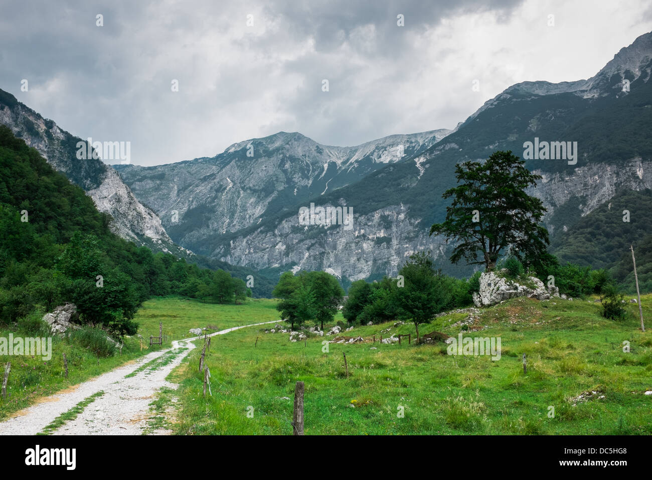 National park slovenia road hi-res stock photography and images - Alamy
