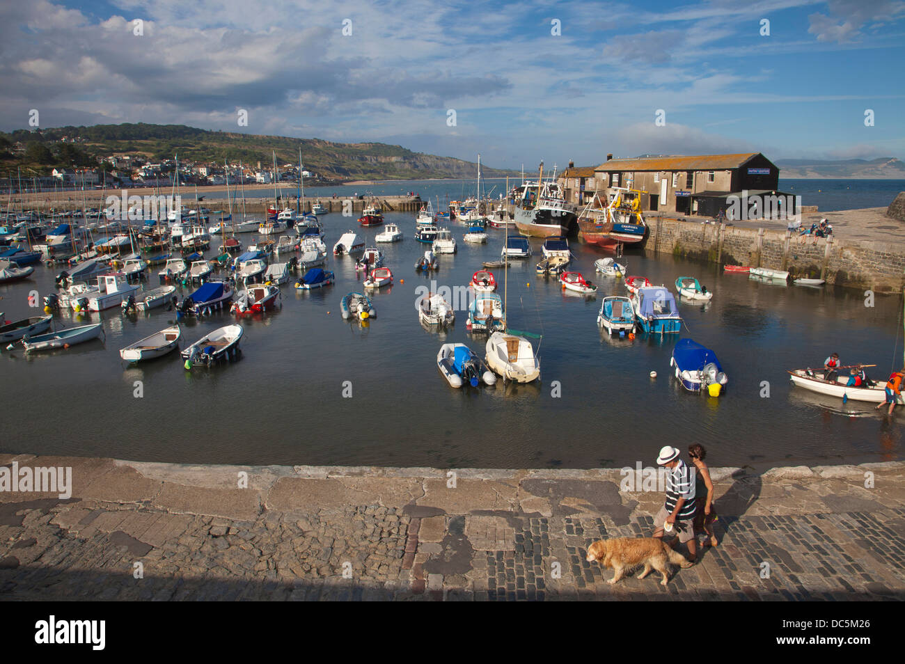 The Cobb, Lyme Regis Harbour, Dorset, England, UK Stock Photo