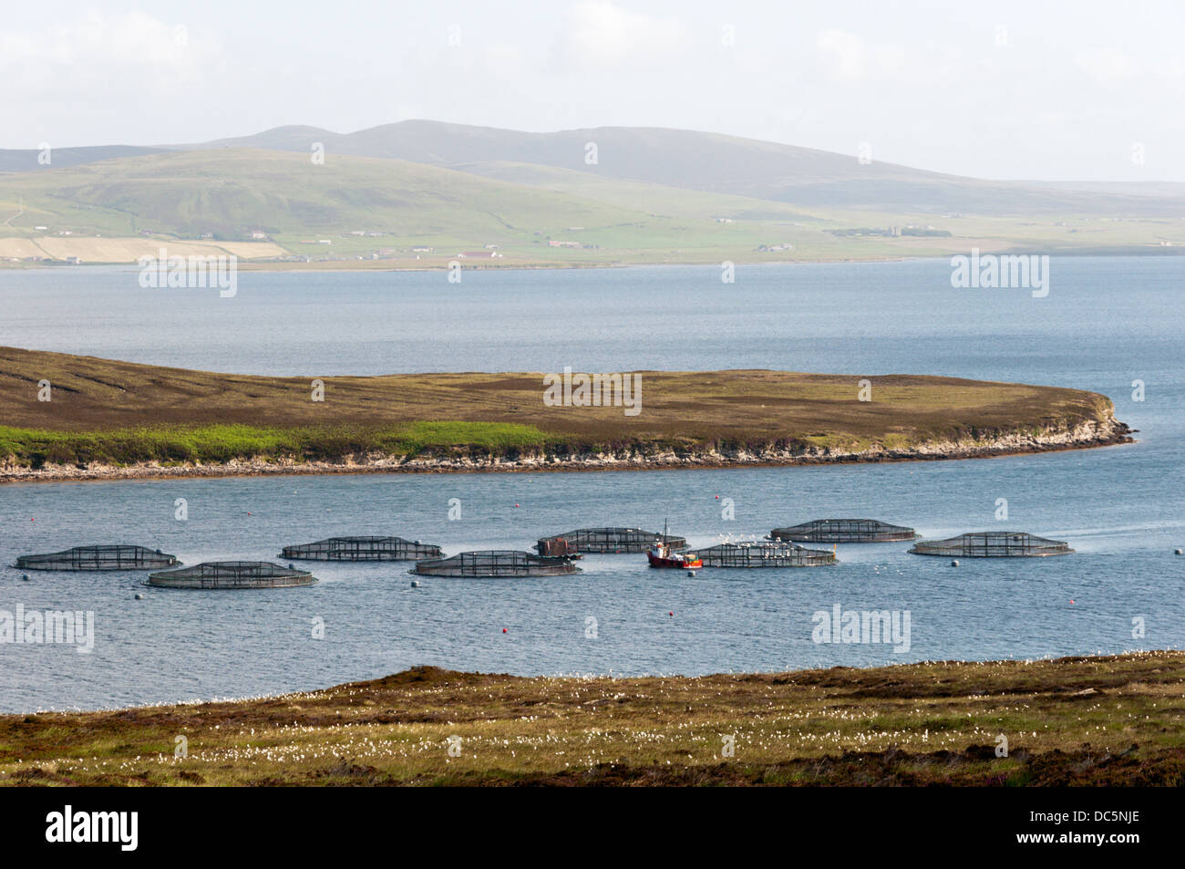 Fish farming cages in Lyrawa Bay, Hoy, Orkney. Stock Photo