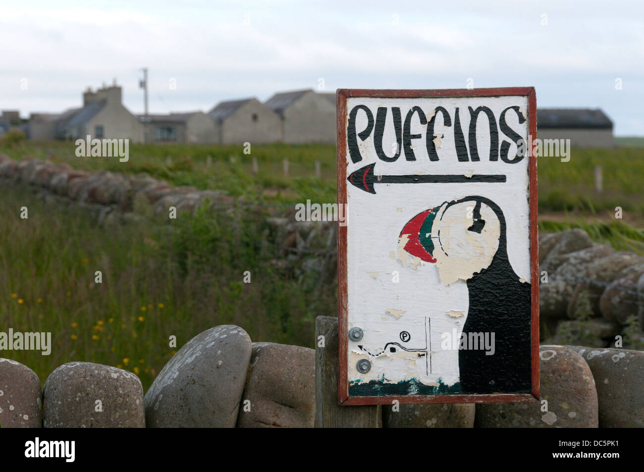 A sign on Westray directs tourists & birdwatchers to Castle o' Burrian, one of the best and easiest places to see Puffins. Stock Photo