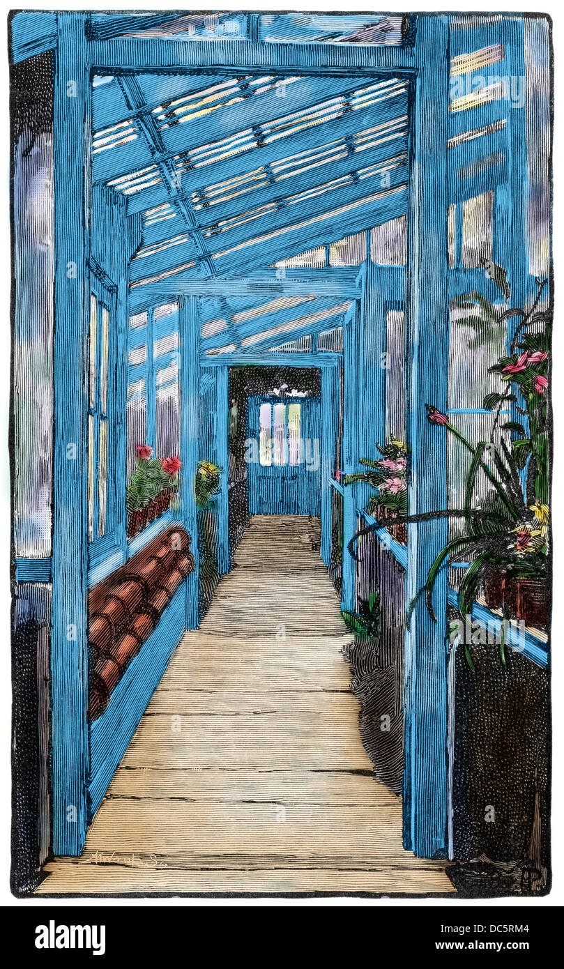 Greenhouse where Darwin experimented with plants at Down House in England. Digitally colored woodcut Stock Photo